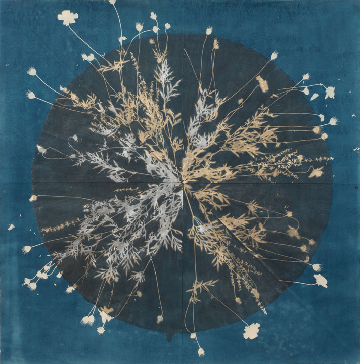 cyanotype, ink, and mica on Okawara paper, 38" x 38", 2017
