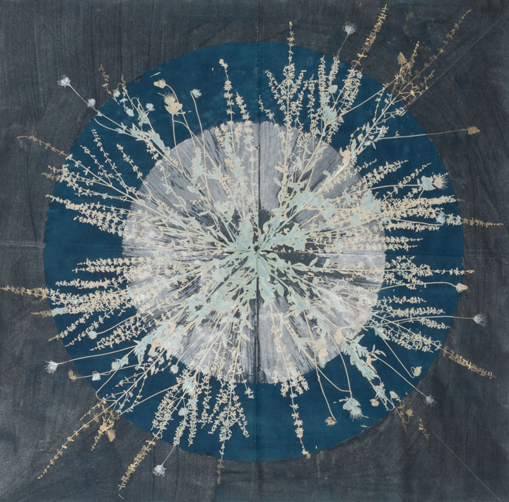 cyanotype, ink, and mica on Okawara paper, 38" x 38", 2017