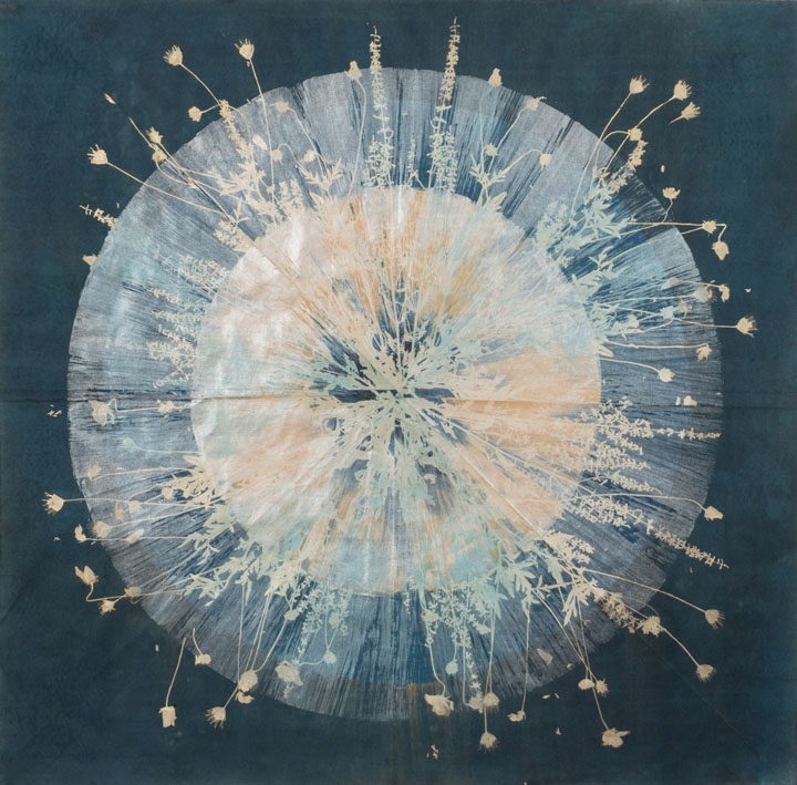 cyanotype, ink, and mica on Okawara paper, 38' x 38", 2017