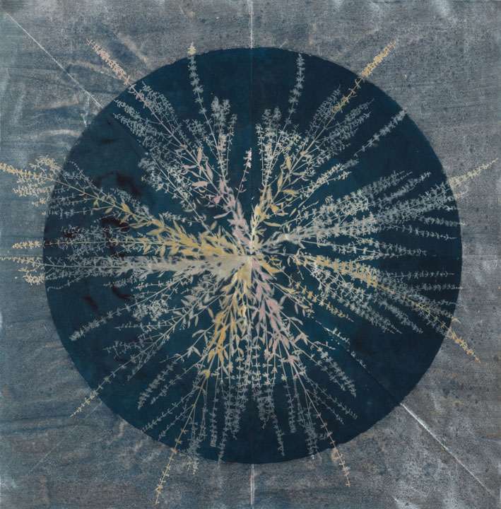cyanotype, ink, and mica on Okawara paper, 38" x 38", 2017