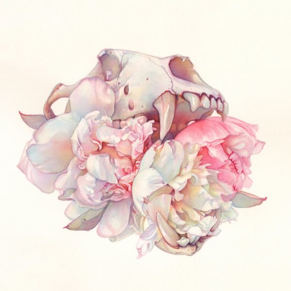 Tracy Lewis: Full Bloom