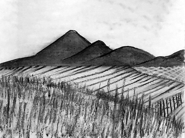 Charcoal on paper, 19” x 25”, 2020