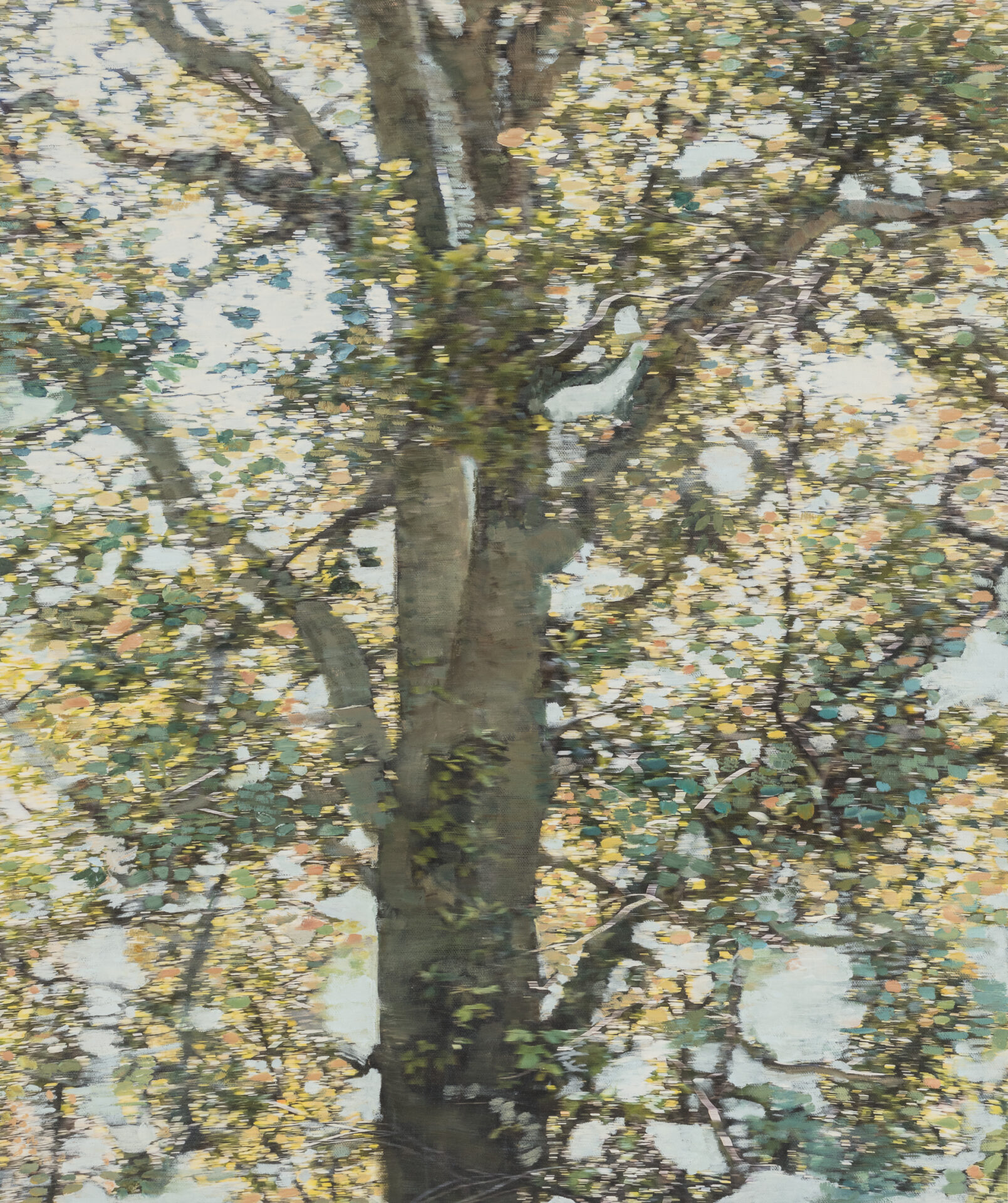 Wynne Hayakawa | The Life of Trees