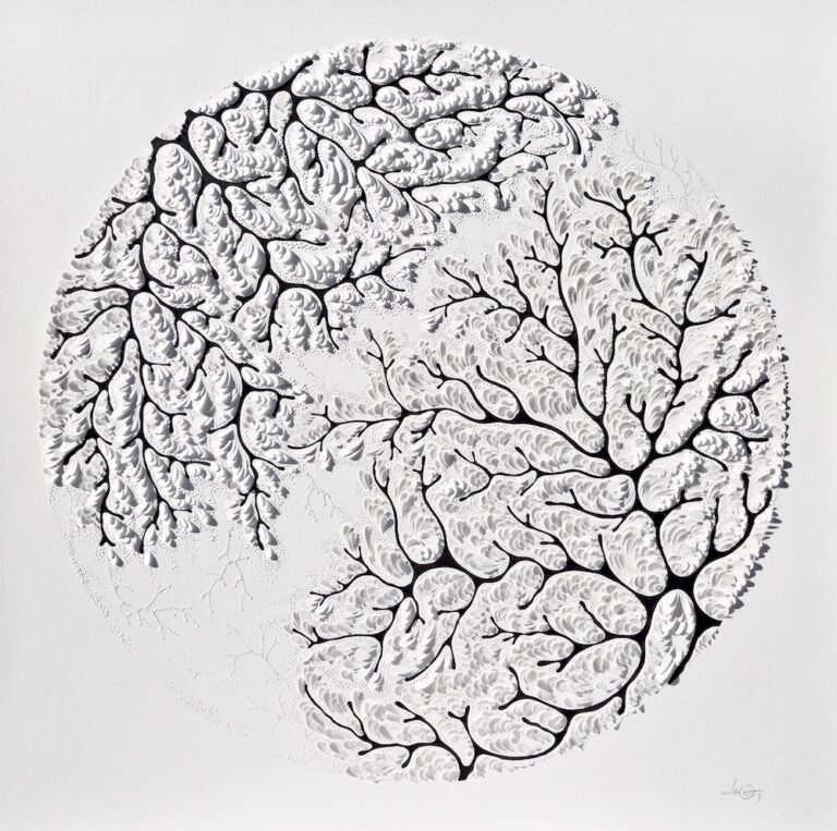 Black acrylic on sculpted paper, 33"x33" framed