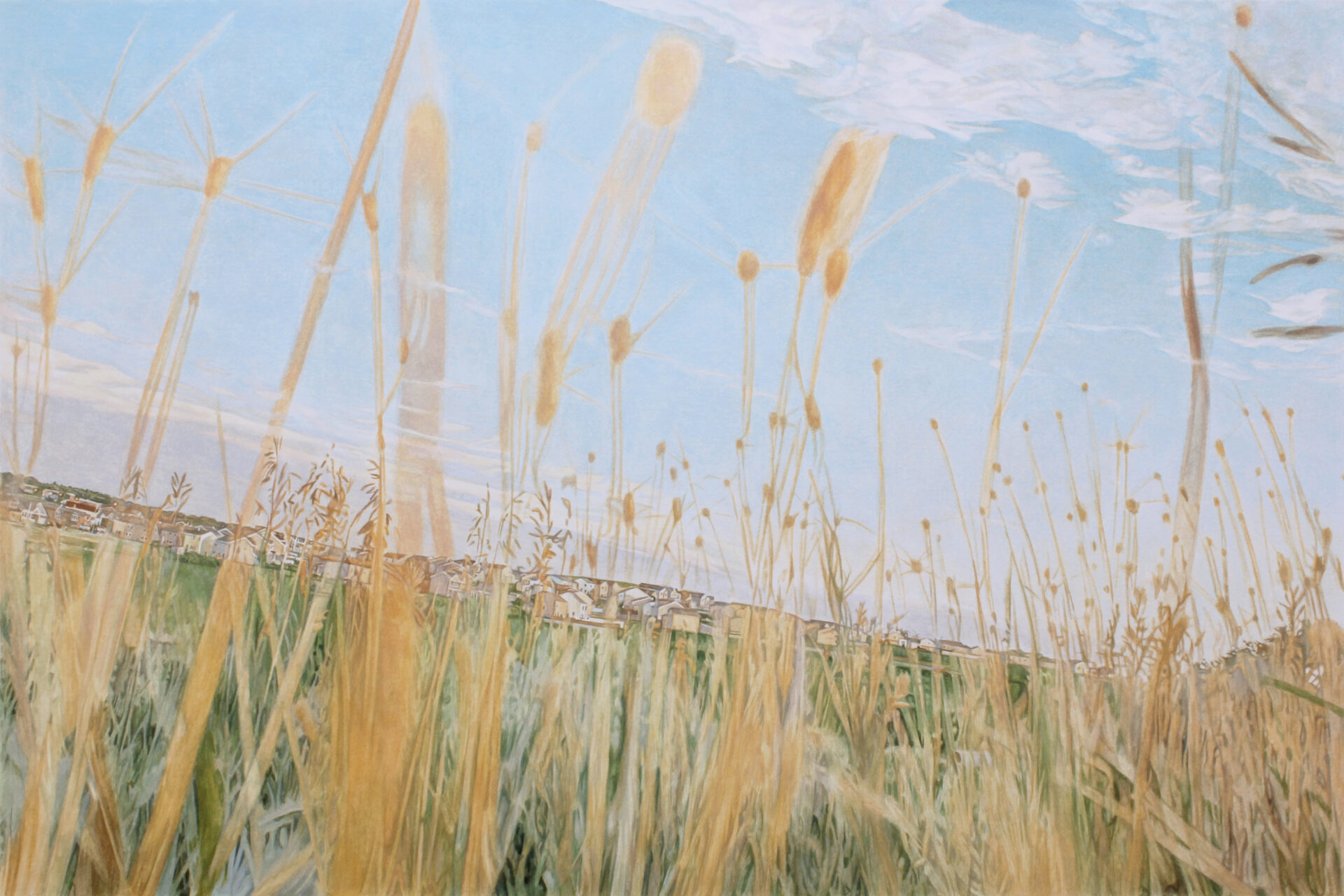 Neil Griess: Inland Current