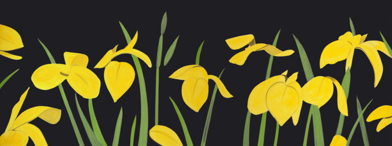 Alex Katz, Yellow Flags 2, 2018, Archival pigment inks on Crane Museo Max 365 gsm paper, 16.5 x 45 in, Edition 80 of 125.
