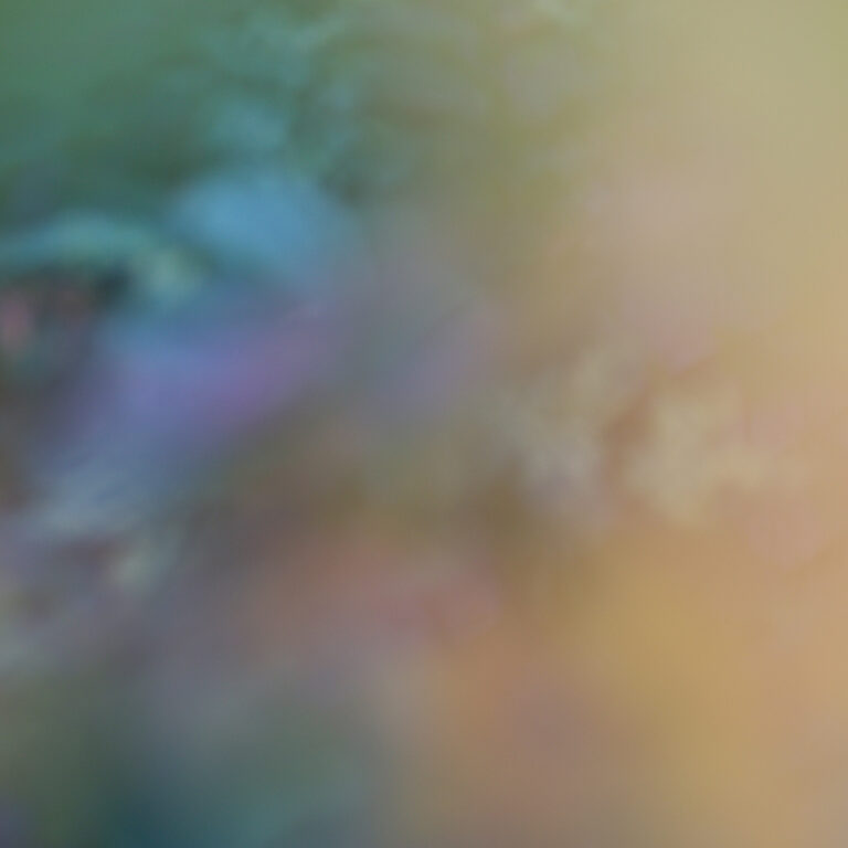 Keira Kotler "Spectrum"