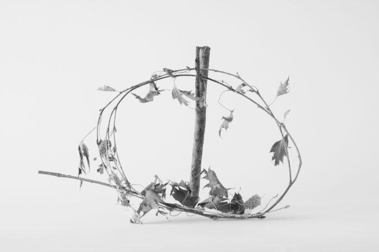 Alyson Belcher, Final Season_1053-1