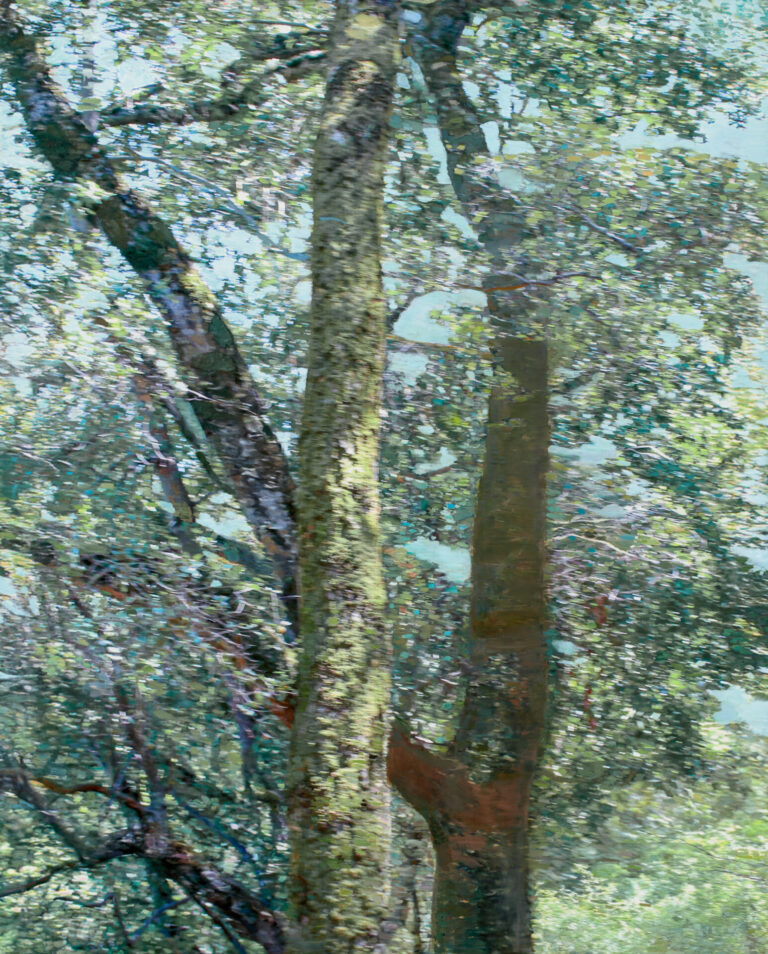 Wynne Hayakawa, Pinole, oil and archival digital photograph on canvas, 60 x 48 inches