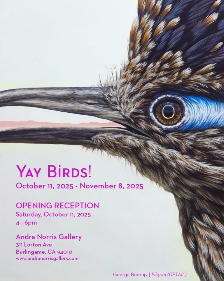 Yay Birds!