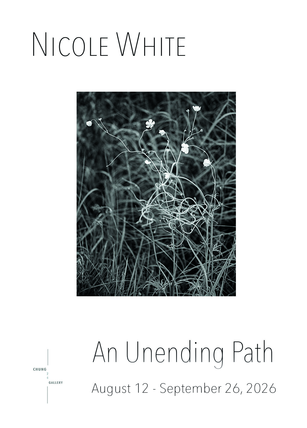An Unending Path
