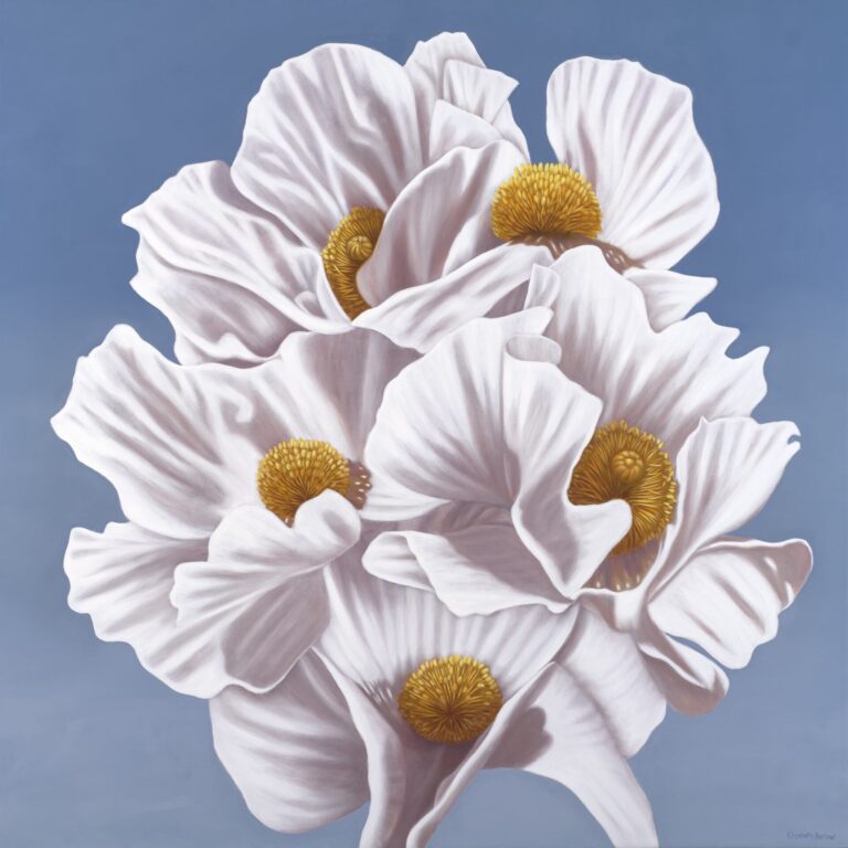 SEED Exhibition at Andra Norris Gallery